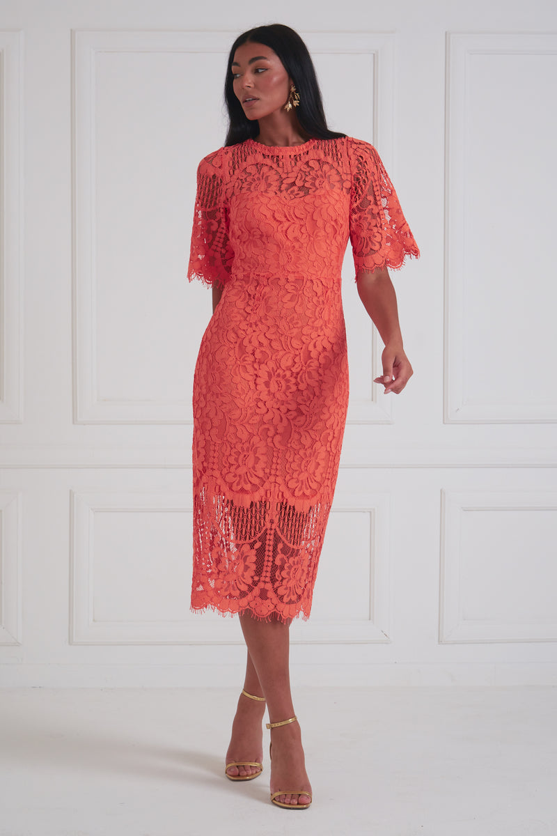 WINDSOR LACE SHEER DETAIL MIDI - CORAL